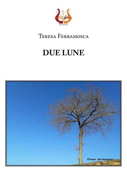 Due lune - Teresa Ferramosca - copertina