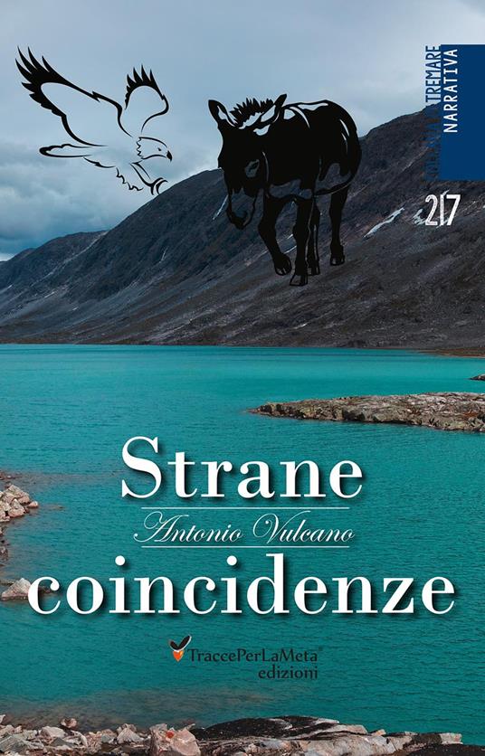 Strane coincidenze - Antonio Vulcano - copertina