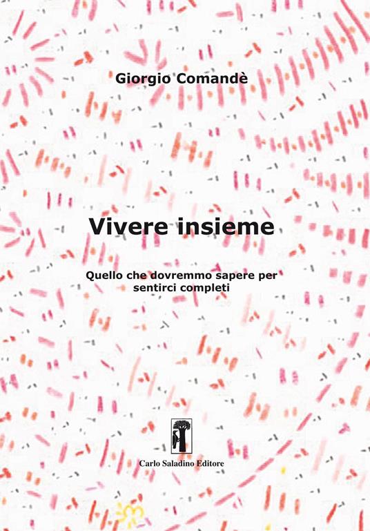 Vivere insieme. Quello che dovremmo sapere per sentirci completi - Giorgio Comandè - copertina