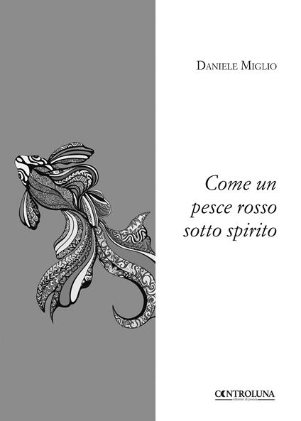 Come un pesce rosso sotto spirito - Daniele Miglio - copertina