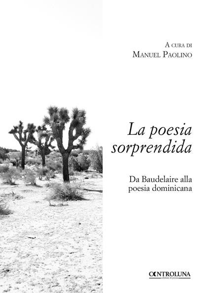 La poesia sorprendida. Da Baudelaire alla poesia dominicana - copertina