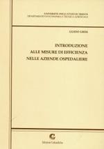 Introduzione alle misure di efficienza nelle aziende ospedaliere