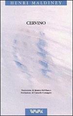 Cervino-Cervin