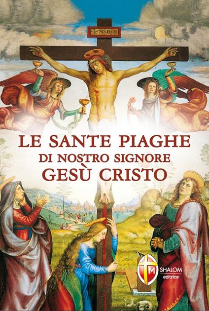 Le sante piaghe di nostro Signore Gesù Cristo - Robert Rieger - copertina