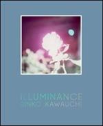 Illuminance. Ediz. illustrata