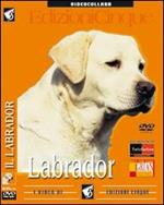 Labrador retriever. DVD