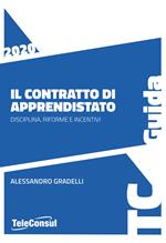 Il contratto di apprendistato. Disciplina, riforme e incentivi