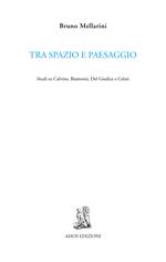 Tra spazio e paesaggio. Studi su Calvino, Biamonti, Del Giudice e Celati