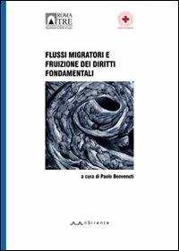 Flussi migratori e fruizione dei diritti fondamentali - copertina