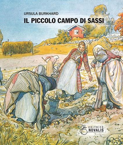 Il piccolo campo di sassi - Ursula Burkhard - copertina