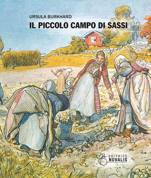 Il piccolo campo di sassi - Ursula Burkhard - copertina