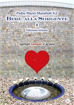 Bere alla Sorgente. Lettere alla Comunità Emmanuel. Ediz. ridotta