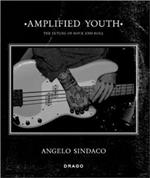 Amplified youth. Ediz. illustrata