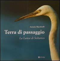 Terra di passaggio. La lanca di Soltarico. Ediz. illustrata - Antonio Marchitelli - copertina