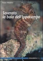 Soverato la baia dell'ippocampo