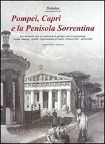 Pompei, Capri e la penisola sorrentina. Atti del 5° ciclo di Conferenze di geologia, storia e archeologia. Pompei, Anacapri, Scafati, Castellammare di Stabia...