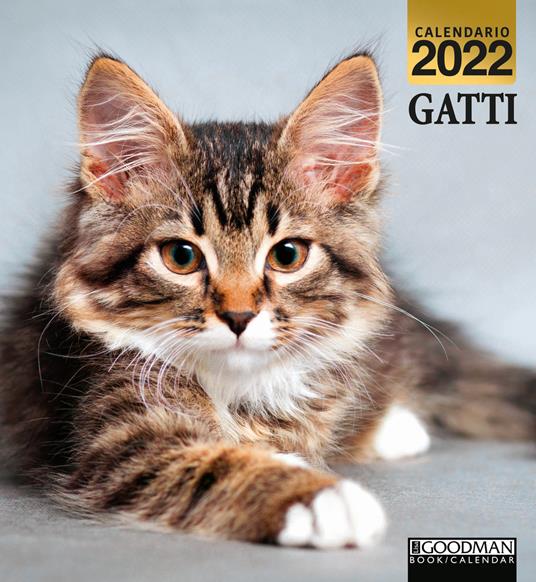 Gatti. Calendario 2022 - Libro - Sprea Editori 