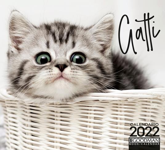 Gatti. Calendario 2022 - Libro - Sprea Editori 