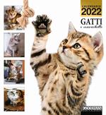 Gatti e marachelle. Calendario 2022