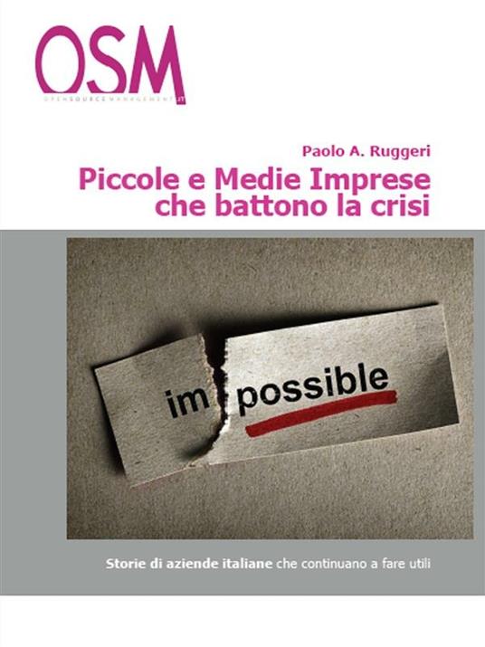 Piccole e medie imprese che battono la crisi. In tempi difficili, solo i più forti fanno utili. Storie di aziende che ce la fanno, ogni giorno, tutti i giorni - Paolo A. Ruggeri - ebook