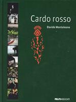 Cardo rosso