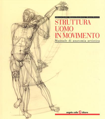 Struttura uomo in movimento. Manuale di anatomia artistica - Alberto Lolli,Mauro Zocchetta,Renzo Peretti - copertina