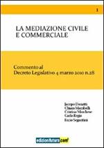 La mediazione civile e commerciale. Commento al decreto legislativo 4 marzo 2010 n. 28