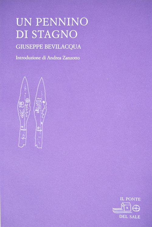 Un pennino di stagno - Giuseppe Bevilacqua - copertina