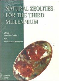 Natural zeolites for the third millennium - copertina