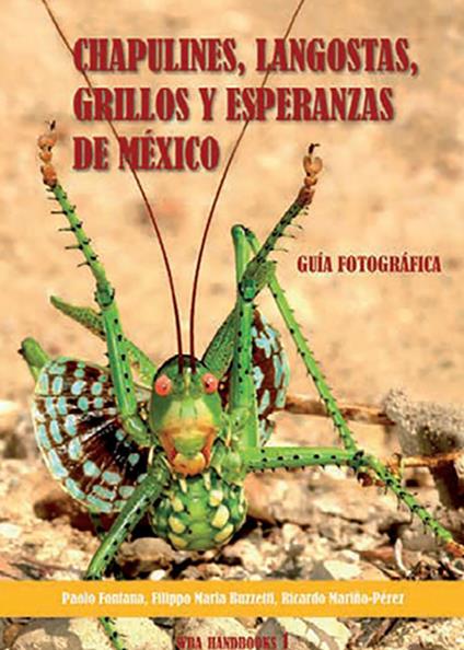 Chapulines, langostas, grillos y esperanzas de Mexico-Grasshoppers, locusts, crickets and katydids of Mexico - Paolo Fontana,Filippo M. Buzzetti,Ricardo Mariño-Perez - copertina