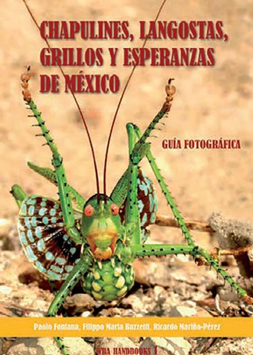 Chapulines, langostas, grillos y esperanzas de Mexico-Grasshoppers, locusts, crickets and katydids of Mexico - Paolo Fontana,Filippo M. Buzzetti,Ricardo Mariño-Perez - copertina