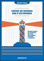 Capire un'impresa non è impresa. Bussola pratica per orientarsi nel mare dei problemi aziendali e risolverli!