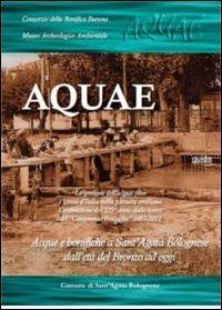 Aquae. La gestione dell'acqua oltre l'unità d'Italia nella pianura emiliana - copertina