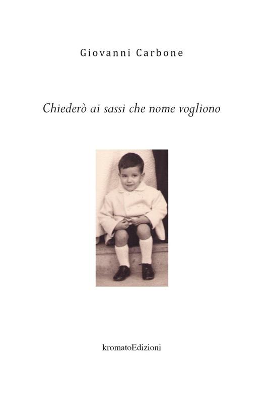 Chiederò ai sassi che nome vogliono - Giovanni Carbone - copertina