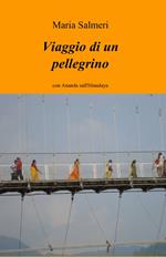 Viaggio di un pellegrino