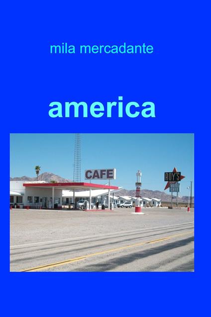 America - Mila Mercadante - ebook