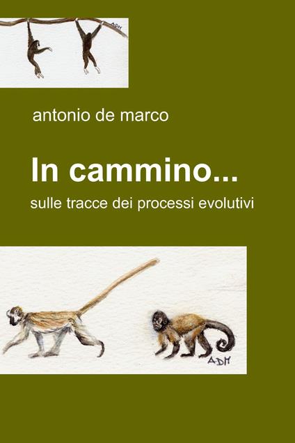 In cammino... - Antonio De Marco - ebook