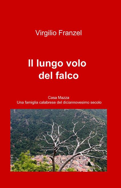 Il lungo volo del falco - Virgilio Franzel - copertina