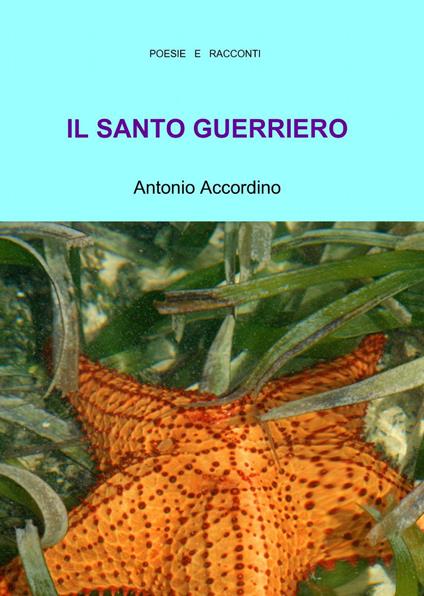 Il santo guerriero - Antonio Accordino - copertina