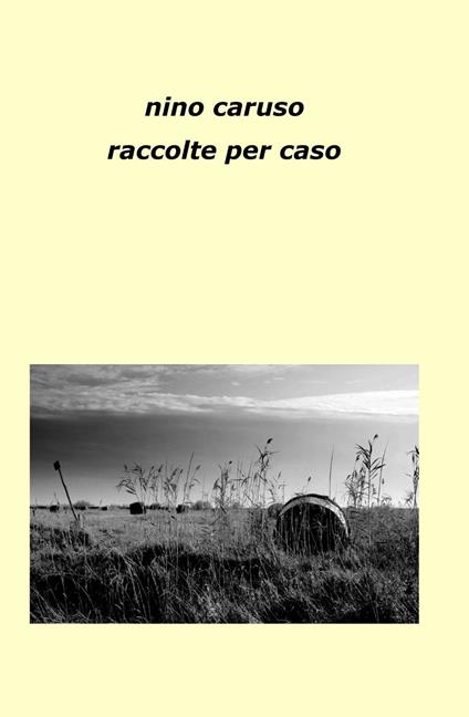 Raccolte per caso - Nino Caruso - copertina