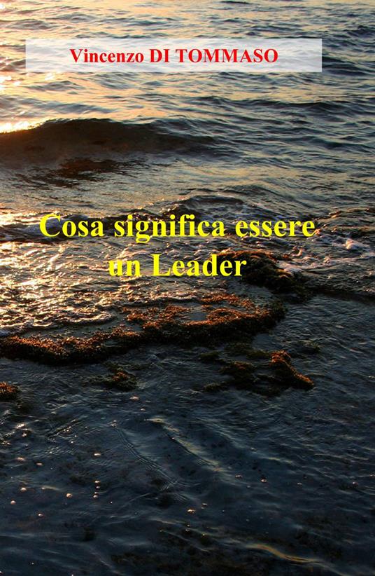 Cosa significa essere un leader - Vincenzo Di Tommaso - copertina