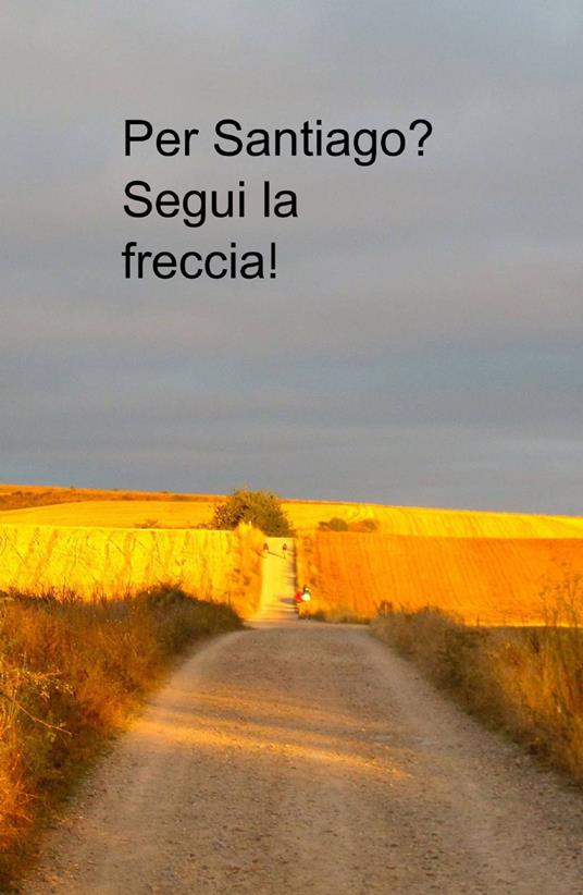 Per Santiago? segui la freccia! - Andrea Quadri - copertina