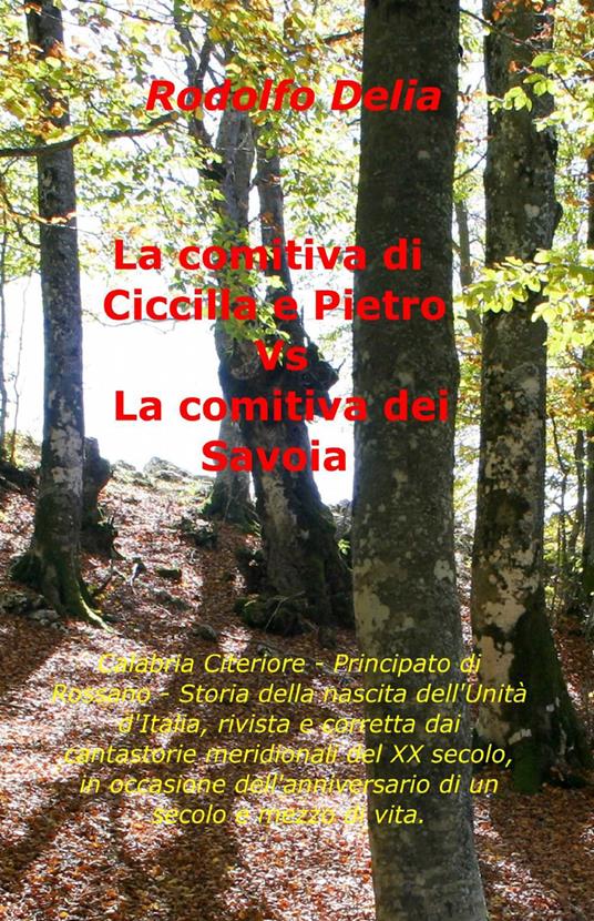 La comitiva di Ciccilla e Pietro vs la comitiva dei Savoia - Rodolfo Delia - copertina