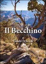 Il becchino