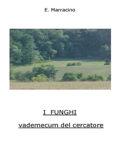 I funghi. Vademecum del cercatore - Ermanno Marracino - ebook