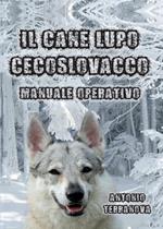 Il cane lupo cecoslovacco