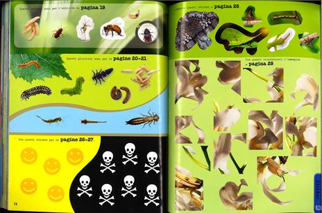 Insetti & co. Gioca e impara. Con adesivi - 5