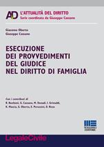 Esecuzione dei provvedimenti del giudice nel diritto di famiglia