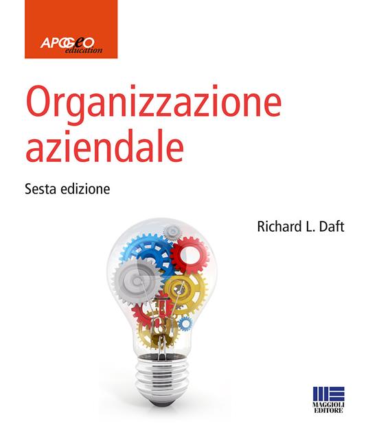 Organizzazione aziendale - Richard L. Daft - copertina