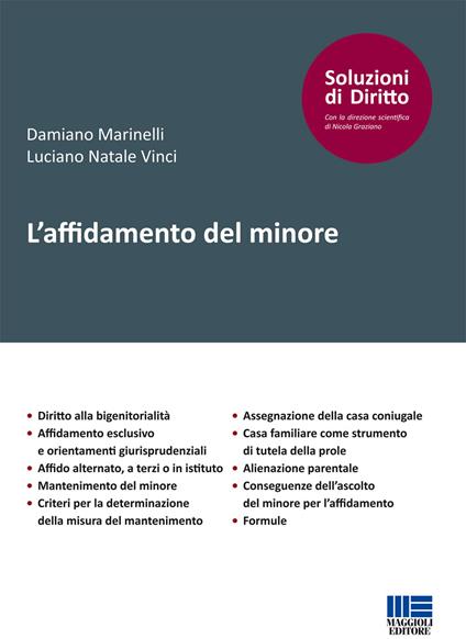 L' affidamento del minore - Damiano Marinelli,Luciano Natale Vinci - copertina